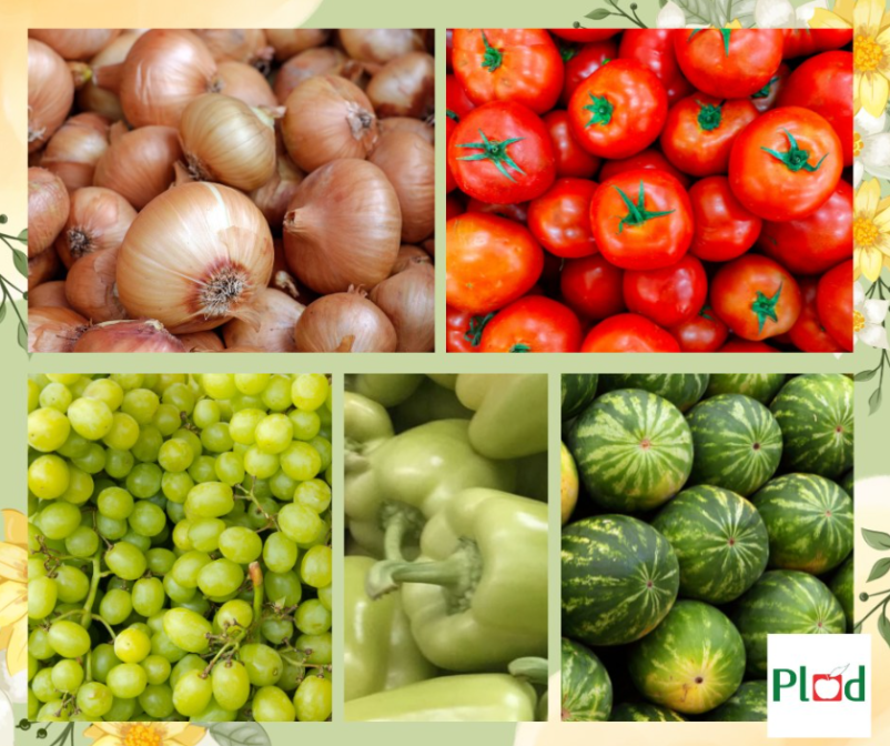 Diskontna prodaja sadja iz zelenjave Podravska