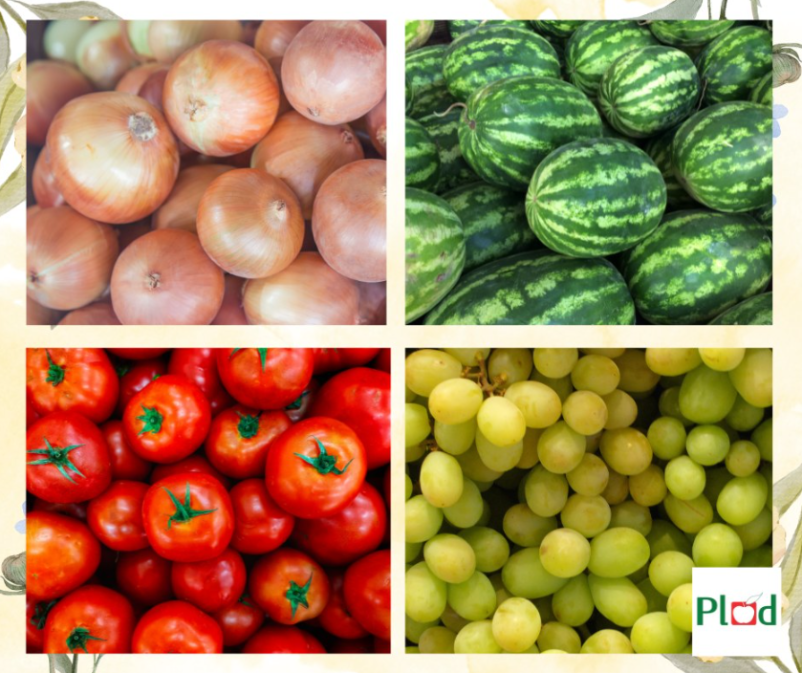 Ugodna prodaja sadja iz zelenjave Podravska