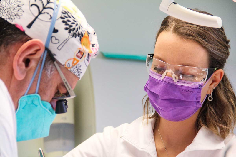 Ganzheitliche Zahnmedizin Österreich