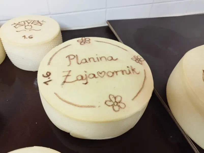 Sir iz Planine Zajavornik, Bohinj, Gorenjska