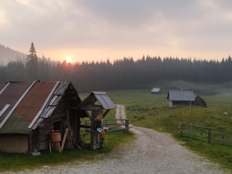 Domači sir iz Planine Zajavornik