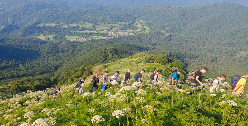 Šolski center Krško