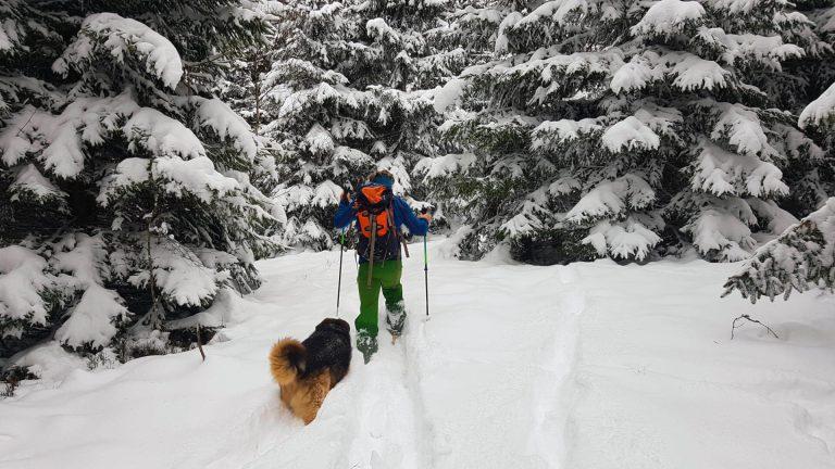 Aktivnosti na turistični kmetiji Mislinja