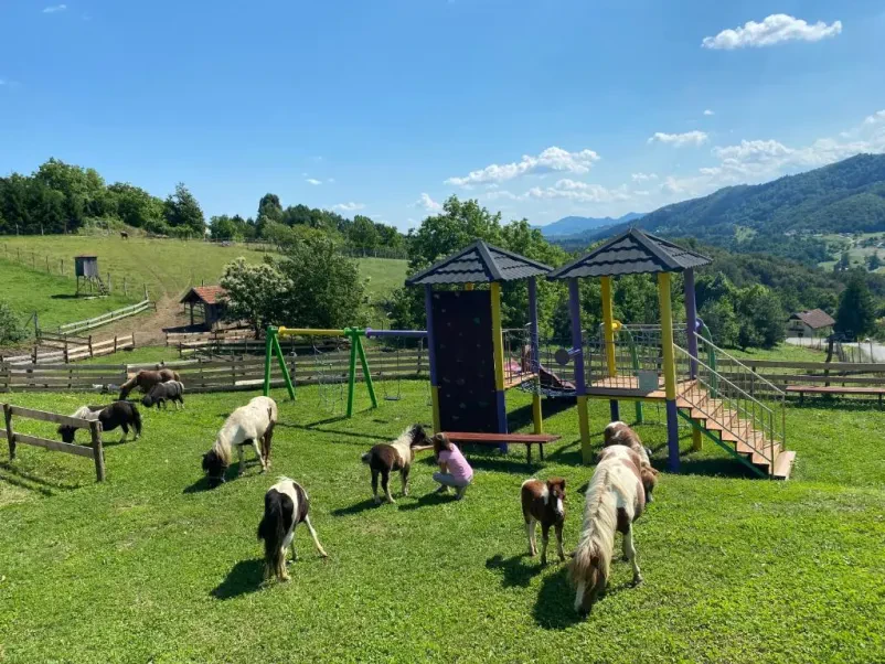 Čudoviti apartmaji v objemu narave v Podčetrtek