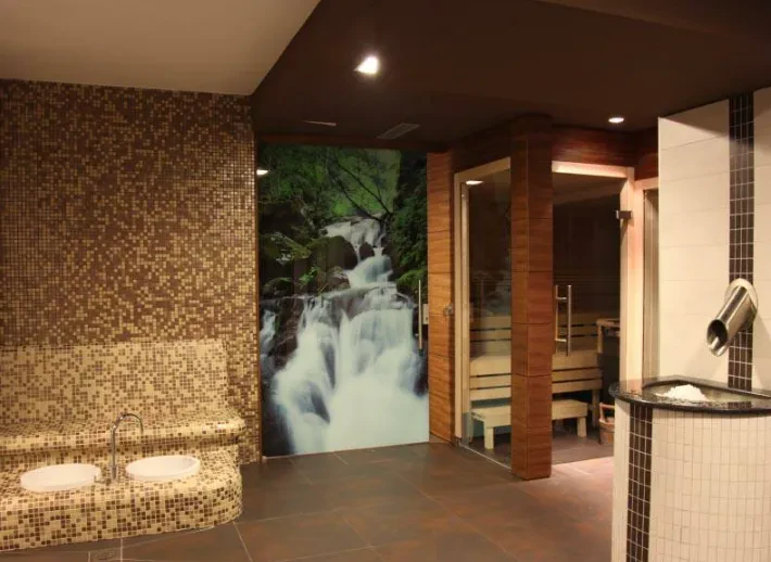 Hotel in spa Kranj