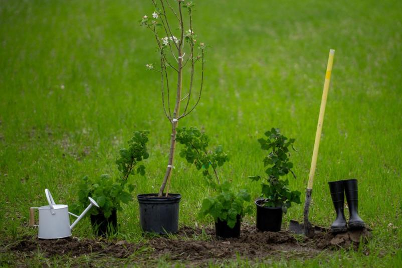 Strokovnjak za urejanje okolice v Ljubljani