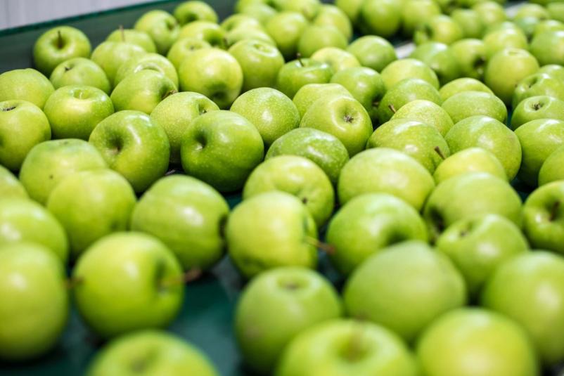Veleprodaja jabolk