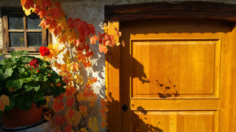 Vino Huba Martinčič Dolenjska