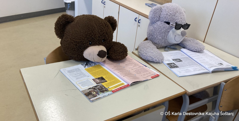 Aktivnosti v osnovni šoli Šoštanj