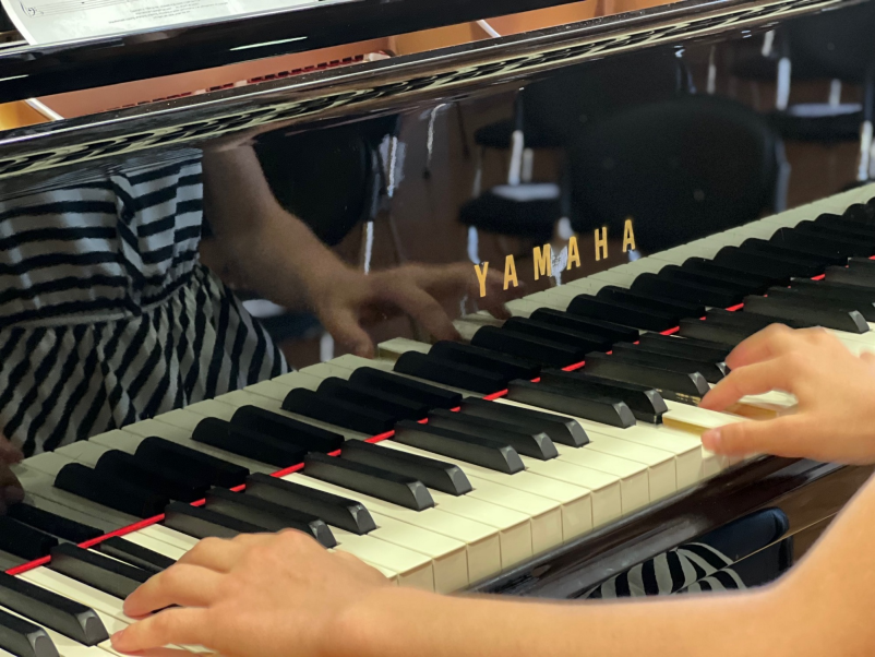 Vpis v glasbeno šolo Črnomelj