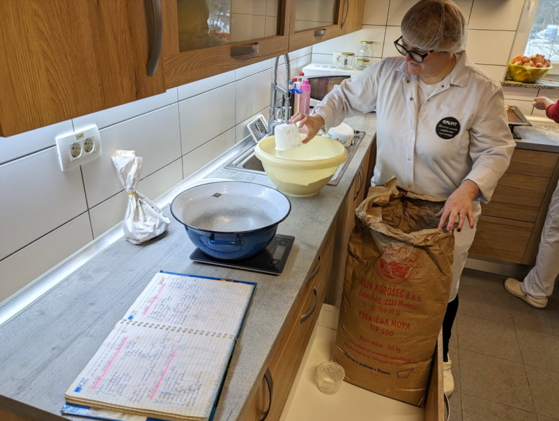 Zaposlovanje invalidnih oseb Radomlje, okolica