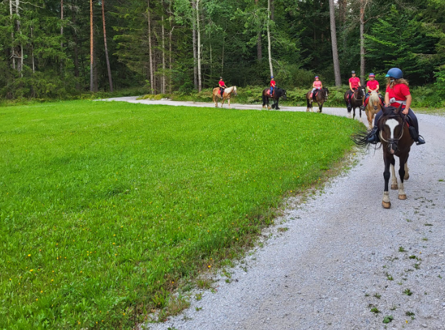 Jahanje Zavod Montana Planina pod Golico