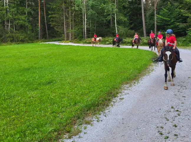 Jahanje Zavod Montana Planina pod Golico