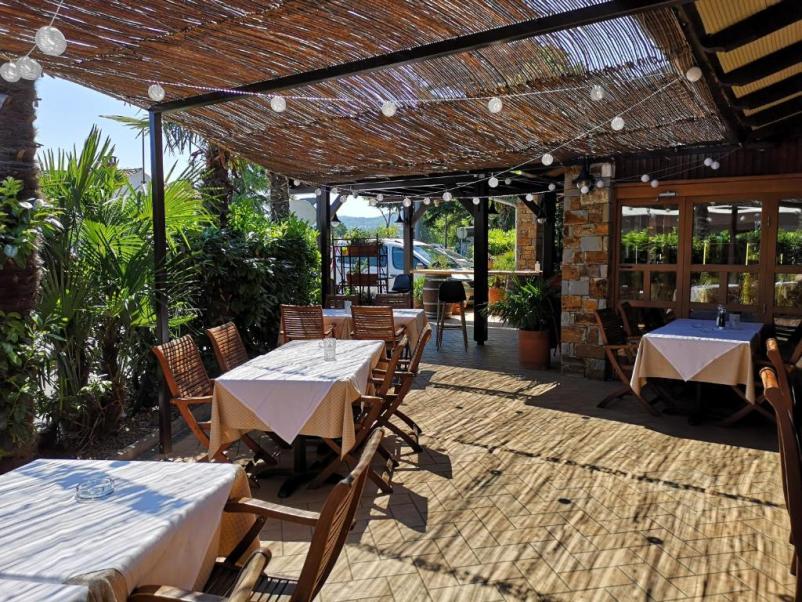 Pet-friendly hotel on Slovenian coast