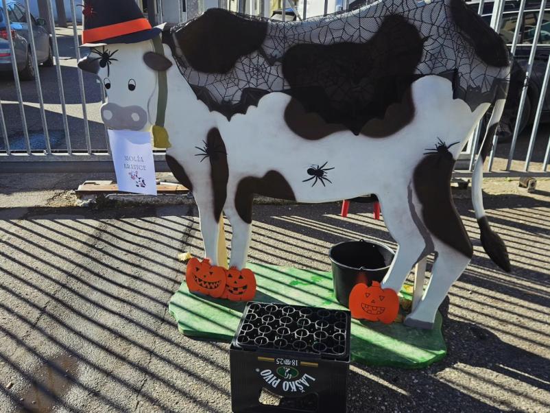 Lokal z glasbo in kavo Ravne na Koroškem