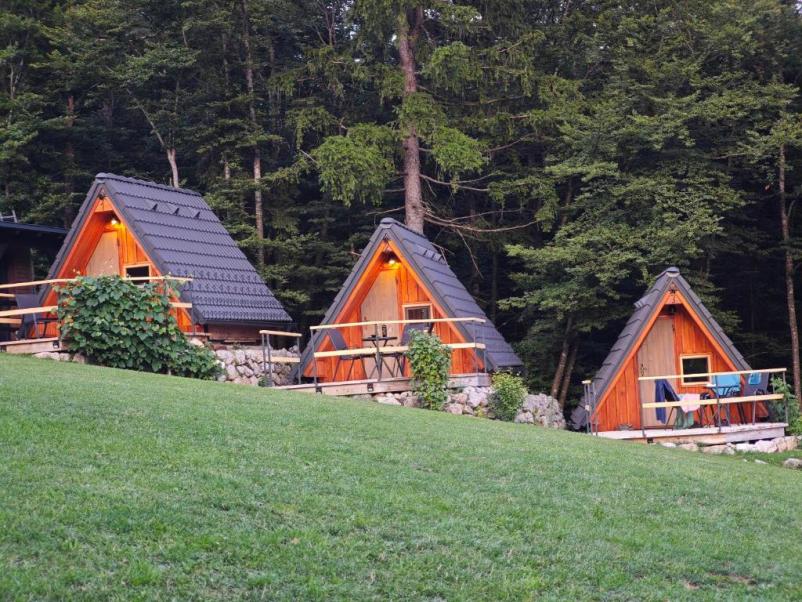 Glamping houses Kranj