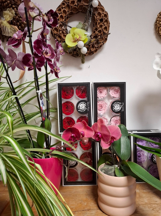 Dobra cvetličarna Ljubljana, Črnuče, Domžale, Trzin