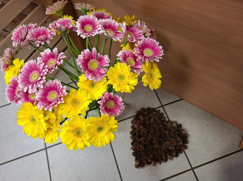 Cvetličarna odprta ob nedeljah