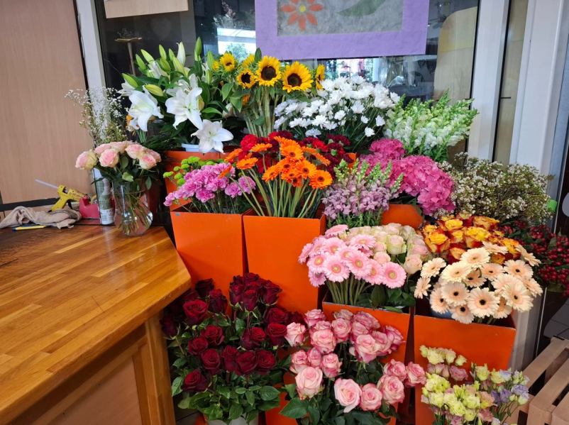 Cvetličarna odprta ob nedeljah Ljubljana