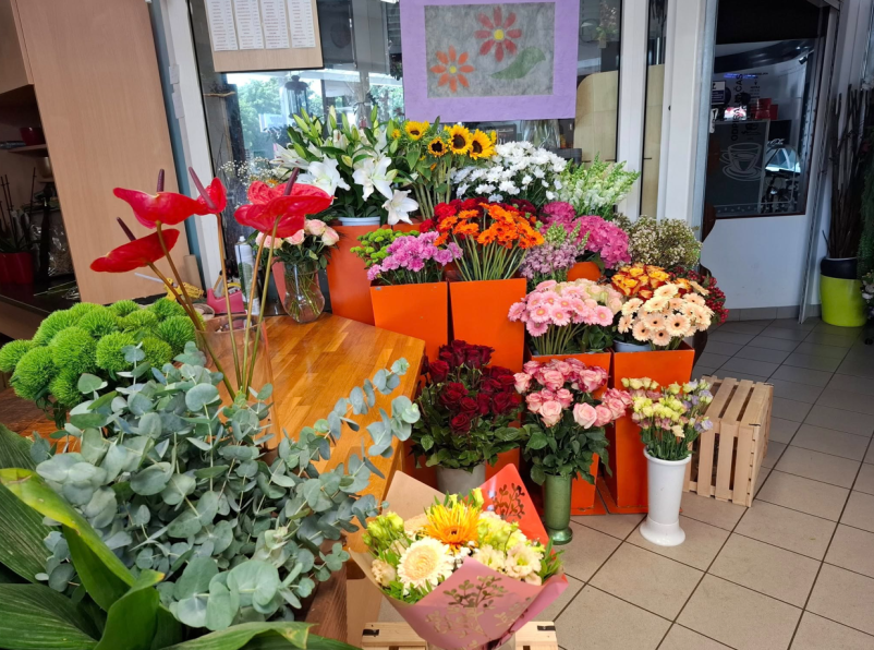 Smo prava izbira, če vas zanima katera cvetličarna odprta ob nedeljah Ljubljana je najboljša!