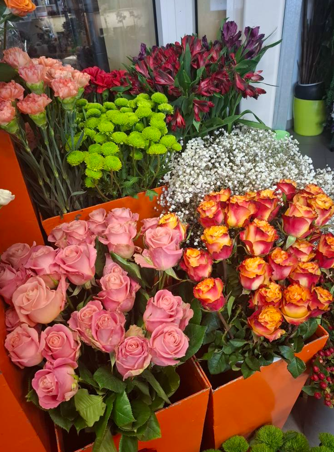 Imamo mnoge zadovoljne stranke. Verjamemo, da boste med njimi tudi vi, če je cvetličarna odprta ob nedeljah Ljubljana, kar potrebujete.