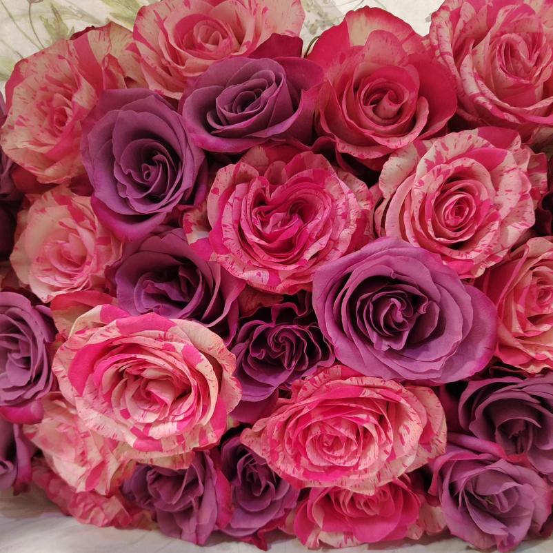 Cvetličarna Ljubljana 