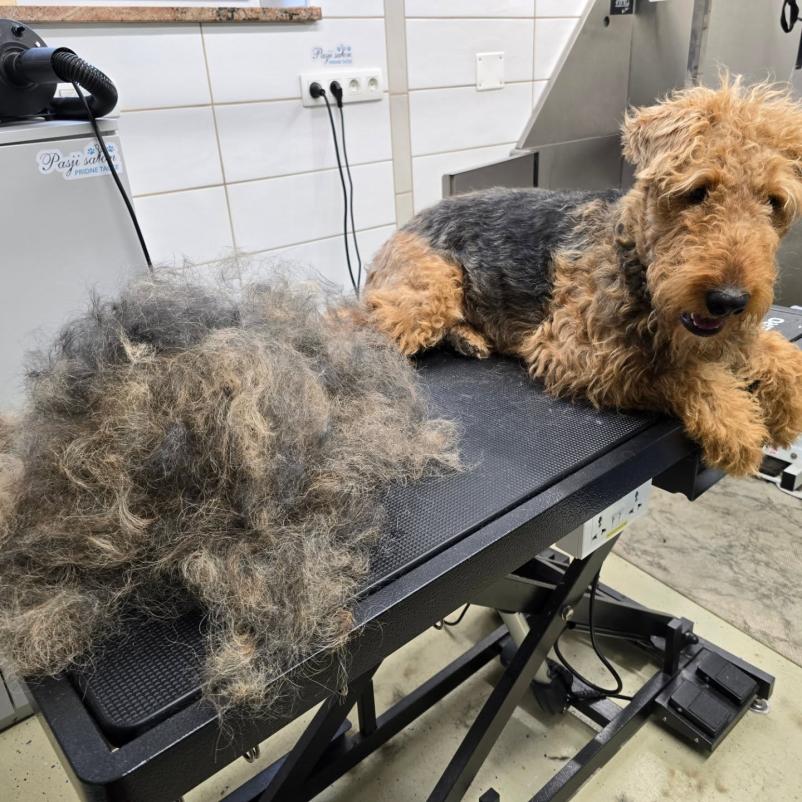 Salon za pse Gorenjska