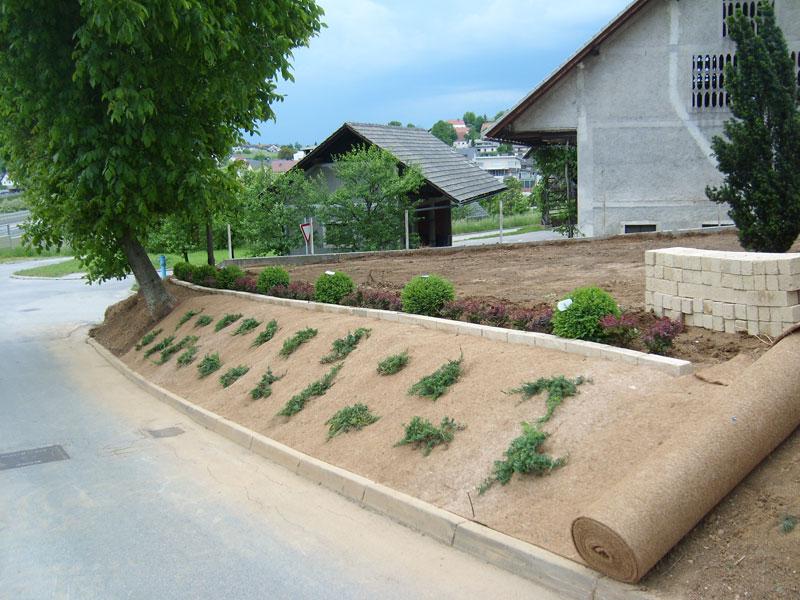 Vzgoja zelenjavnih sadik v Osrednji Sloveniji
