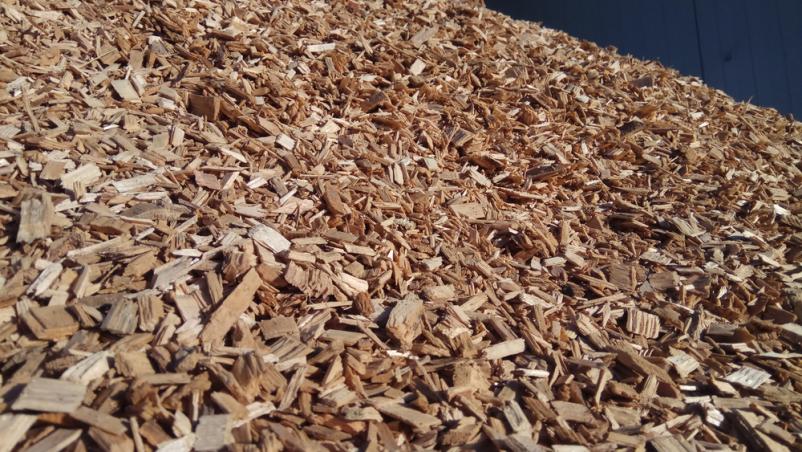 Ekološka pridelava in BIO zastirka iz miskantusa