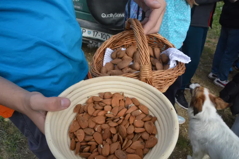 Bio mandlji Istra