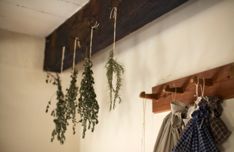 Ugoden ekološki turizem Gorenjska