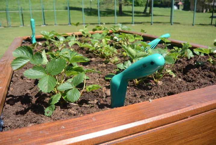 Forged products for the garden and agriculture for the EU