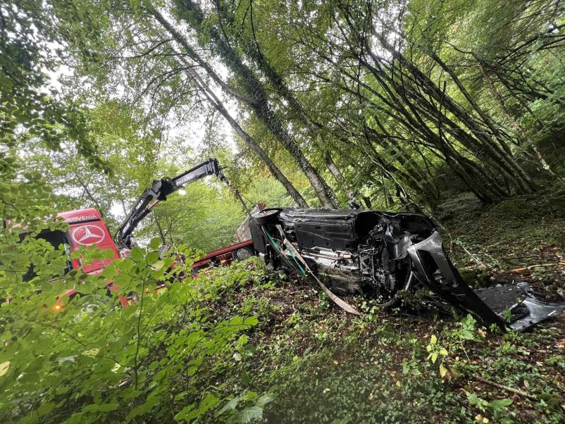 Vlečna služba Posavje