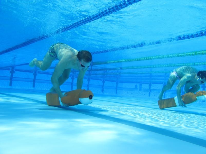 Licenca za vodnega reševalca Slovenija