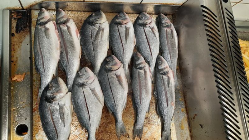 Morske in ribje jedi Koper