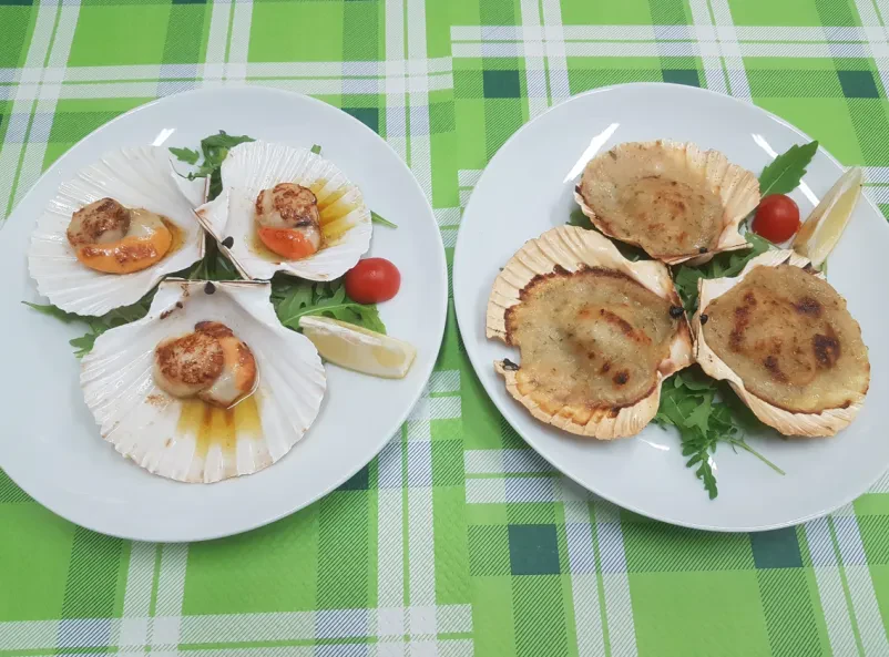 Ribje jedi Koper, Obala