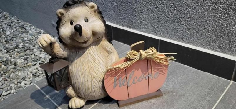 Nastanitev in raziskovanje Štajerske