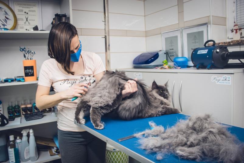 Nega mačk in psov Gorenjska