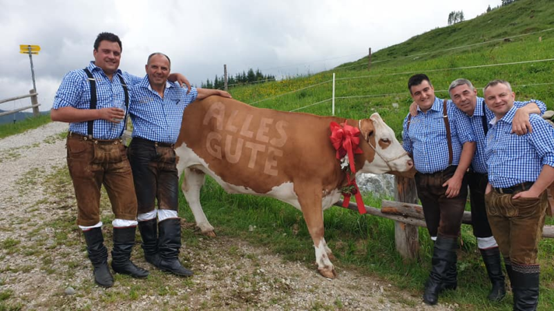 Musikverein in Slowenien, Europa
