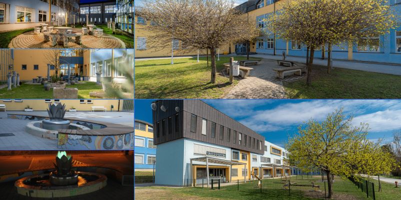 Osnovna šola Ljudski vrt, Ptuj