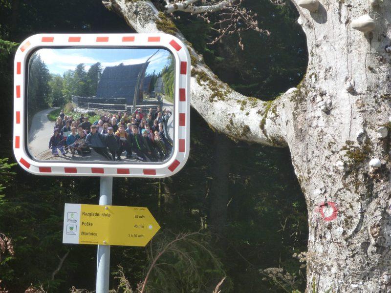 Vpis v Osnovno šolo Žiri