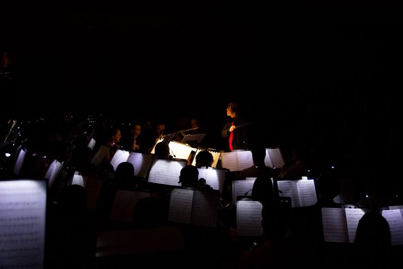 Nastopi Pihalnega orkestra Občine Šentjernej, Dolenjska