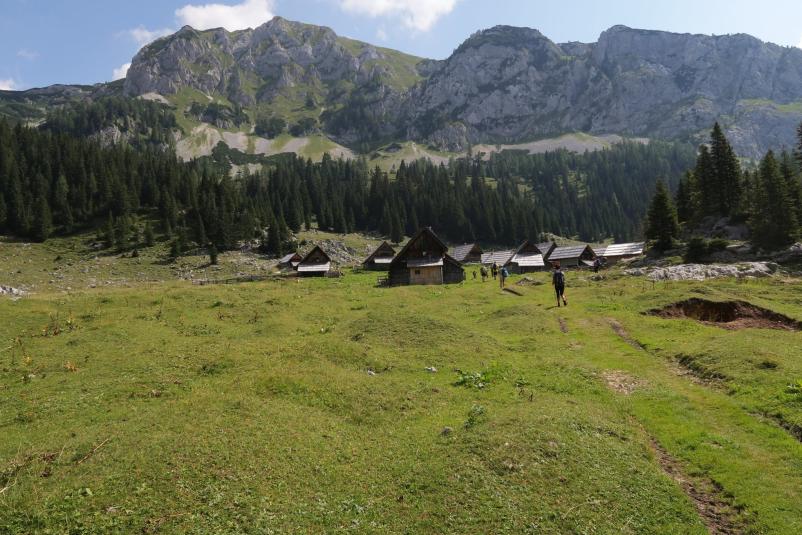 Planinska organizacija Gorenja vas