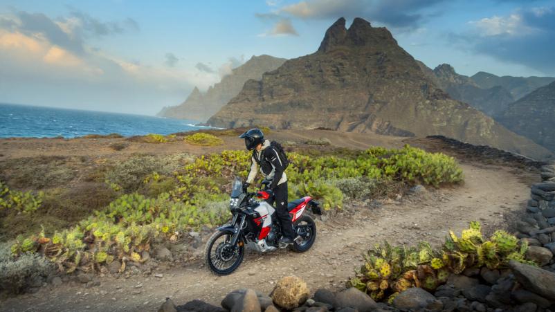 Trgovina s skuterji in vzdrževanje