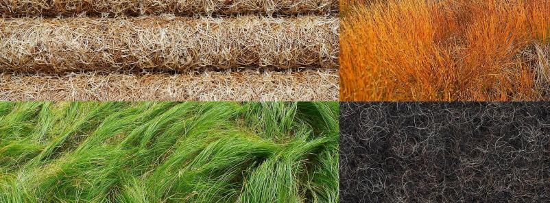 Organic fibre products