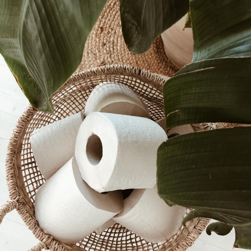 Proizvodnja higienskih papirjev Slovenija