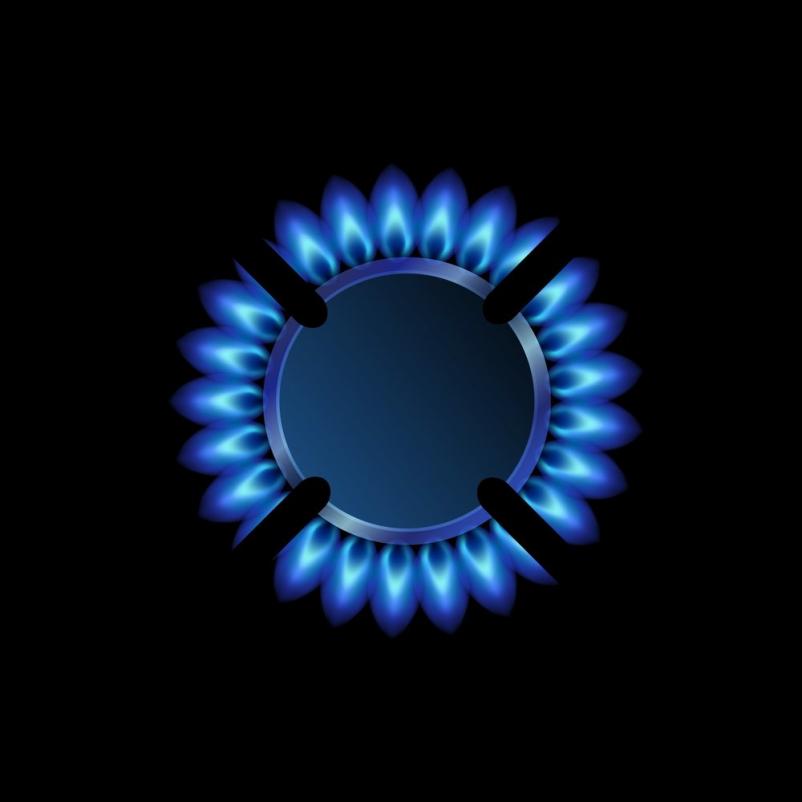 Kakovostno popravilo plinske opreme Savinjska