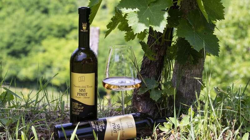 Slovenska vrhunska domača vina Slovenija