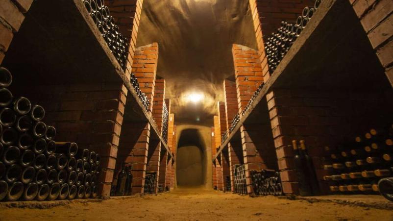 Domača vina Slovenija