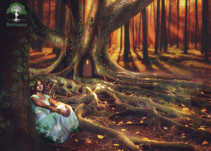 Spirit of Trees Slovenija